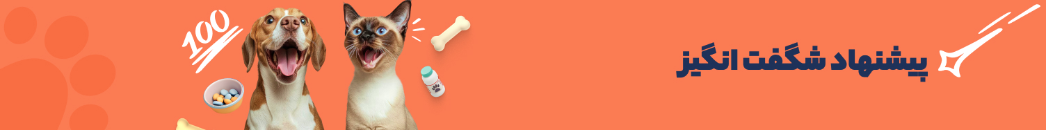 پیشنهاد شگفت انگیز