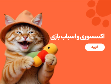 اکسسوری و اسباب بازی