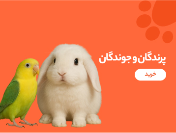 پرندگان و جوندگان