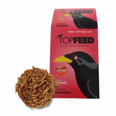 تاپ فيد مرغ مينا + حشره TOPFEED